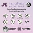 thumbnail image 5 of Boobie Bears Elderberry Lactation Gummies, Supporting Lactation with Milk-Boosting Superfoods, 60 Gummies, 5 of 14