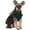 Black, variant on UOSIA Dog Dress, Cute Dog Dresses for Small Dogs Girl Elegant Puppy Tutu with Bow-Knot