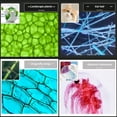 thumbnail image 5 of Zoom Children Microscope Biology Lab LED 1200x School Science Experiment Kit Education Scientific Toys Gifts For Kids Scientist, 5 of 5
