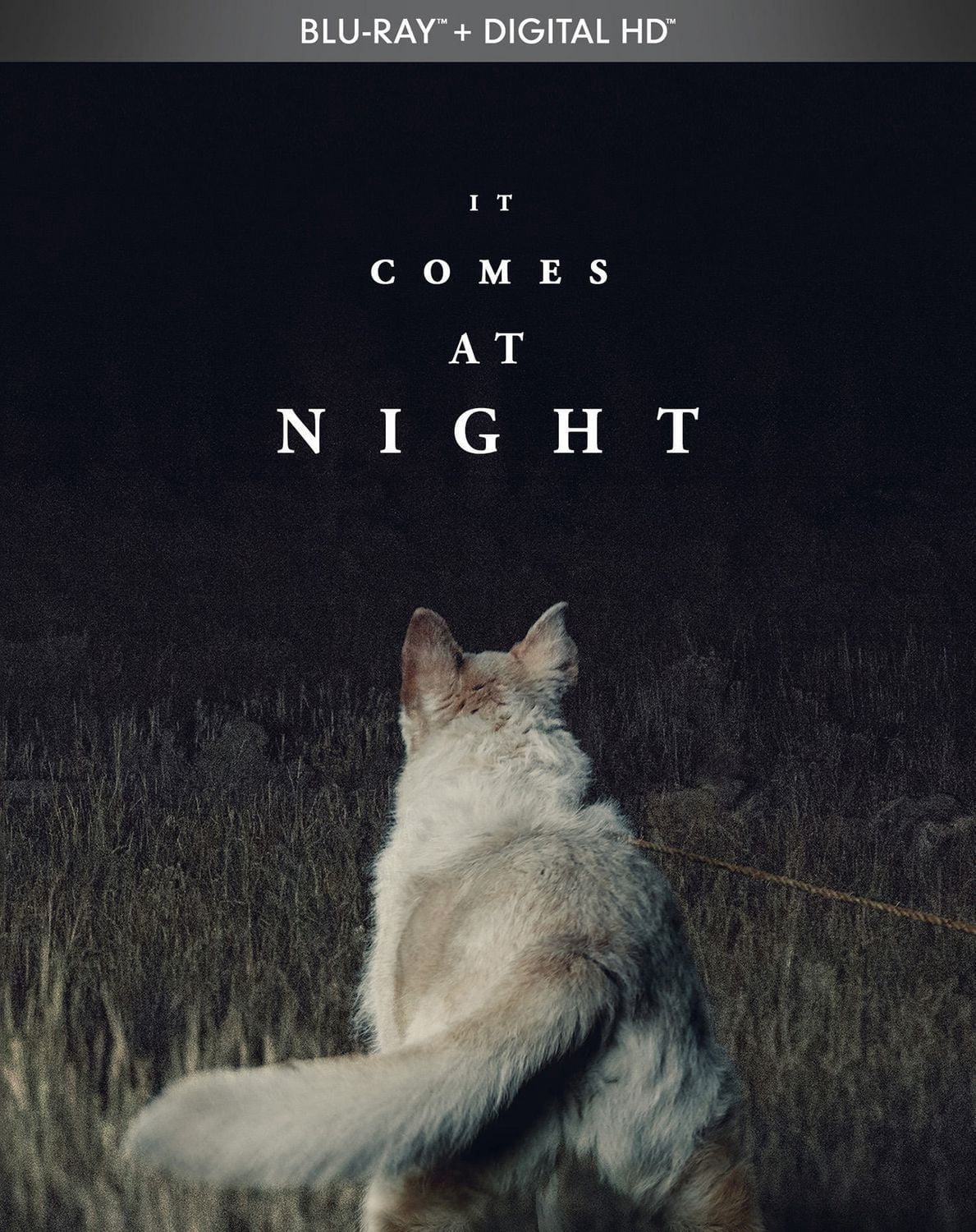 Ça Vient La Nuit (Blu-ray + Digital HD) (Bilingue)