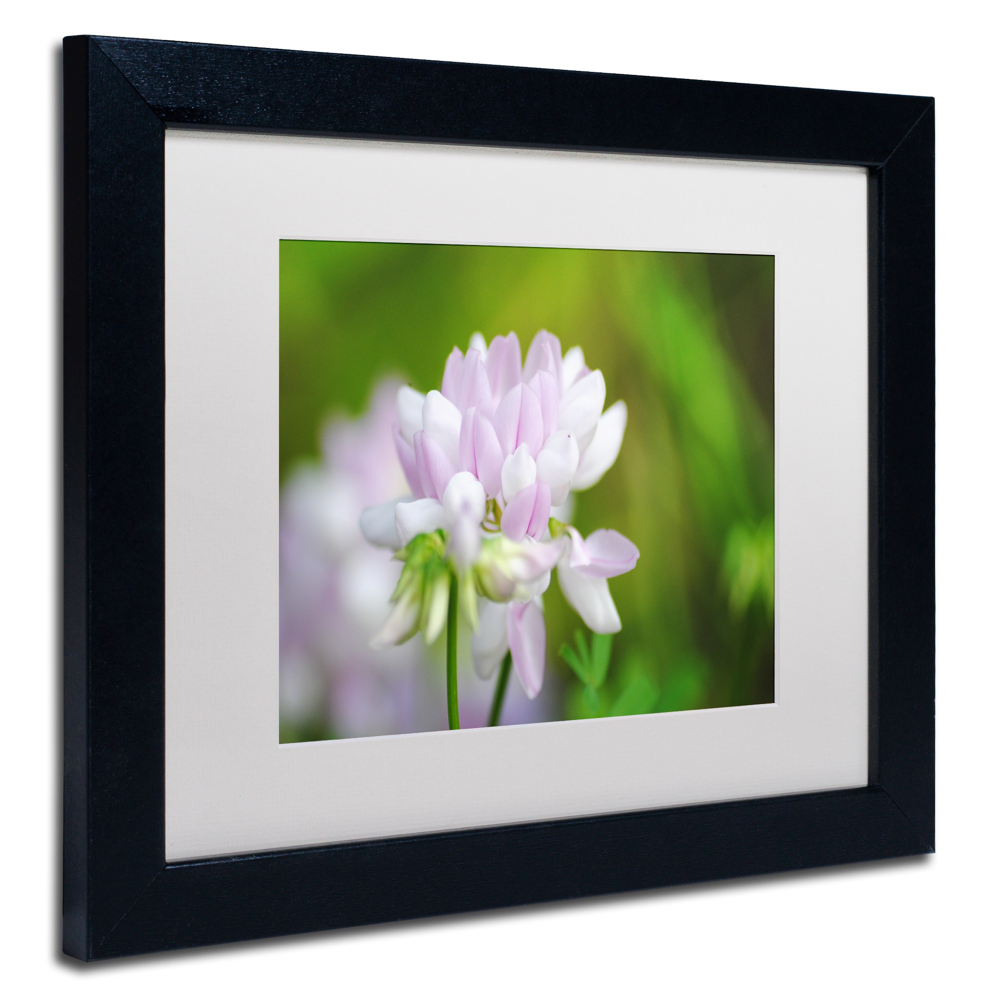Trademark Fine Art "Calm Heart" Canvas Art by Monica Mize, White Matte, Black Frame