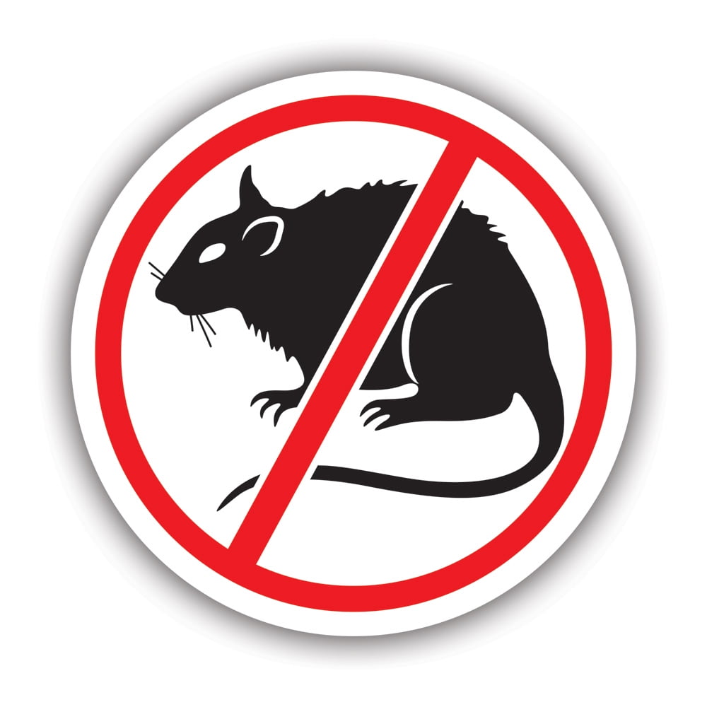 No Rats Sticker Decal Self Adhesive Vinyl Weatherproof Made in