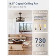 thumbnail image 4 of Zardon 16.5-Inch Black Antique Caged Indoor Ceiling Fan with LED Lights and Remote Control, 4 of 4