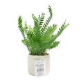 thumbnail image 1 of Planta Mainstays Artificial con Maceta Boston Fern Multicolor, 1 of 4