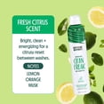thumbnail image 4 of CLEAN FREAK ORIGINAL DRY SHAMPOO, 4 of 5