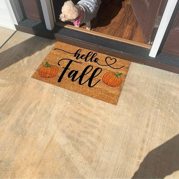 AuroraX Maple Leaf Outdoor Rug Mat Non-Slip Backing Thanksgiving Halloween Bathroom Mat Rug Contemporary Fall 15x23 Inch Small