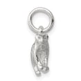 thumbnail image 2 of Sterling Silver Leopard Charm QC6342, 2 of 3