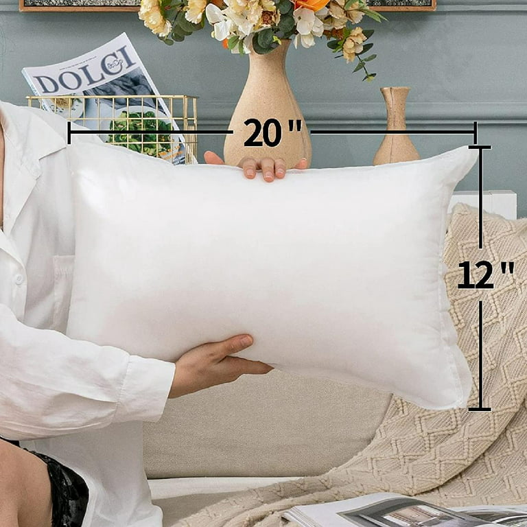 Pillow Insert 18x18 Inch, Decorative Square Throw Pillow Inserts,  Hypoallergenic Premium Fluffy Pillow Forms Sham Stuffer for Sofa Couch  Living Room