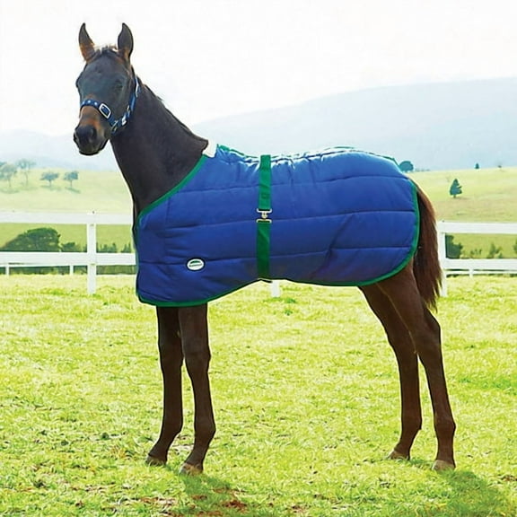 Weatherbeeta 420D Growing Foal Blanket (Navy/Hunter, 28" - 42")