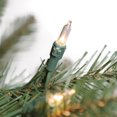 thumbnail image 2 of Puleo International 6.5 Ft Dans Mountain Fir Prelit Full Christmas Tree w/ Clear Lights, 2 of 6