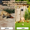 thumbnail image 4 of Solar Predator Control Light 4-Pack Outdoor Motion Activated Animal With Motion Sensor and Flashing Lights Scarer ler For Cat Dog Birds Foxes, 4 of 7
