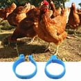 thumbnail image 2 of Chicken Leg Rings Poultry Ankle Bands Number Tag Markers for Birds Gamefowl Turkey Duck, 2 of 7