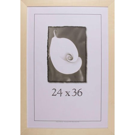 Picture , 24x36 Inches, 1.5-Inch Molding