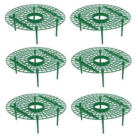 

HEMOTON 6Pcs Garden Climbing Pergola Strawberry Rack Plant Climbing Support Stand Gardening Tools for Home Garden (Green)