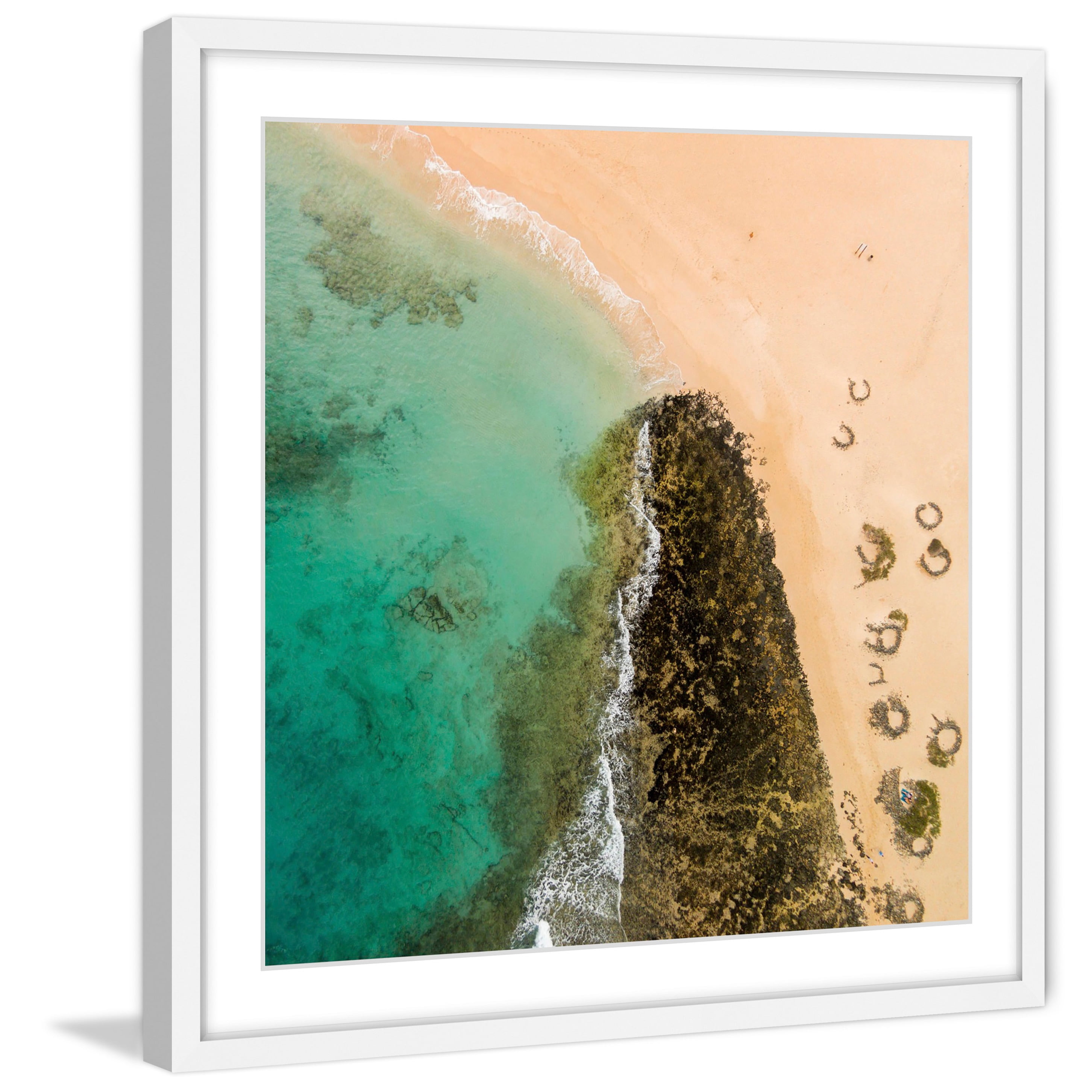 Marmont Hill "Seaweed Trails" by Karolis Janulis Framed Painting Print