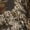 Mossy Oak New Break-Up, variant on Mossy Oak Elements Terra Gila Mens Stretch Cargo Hunting Pant