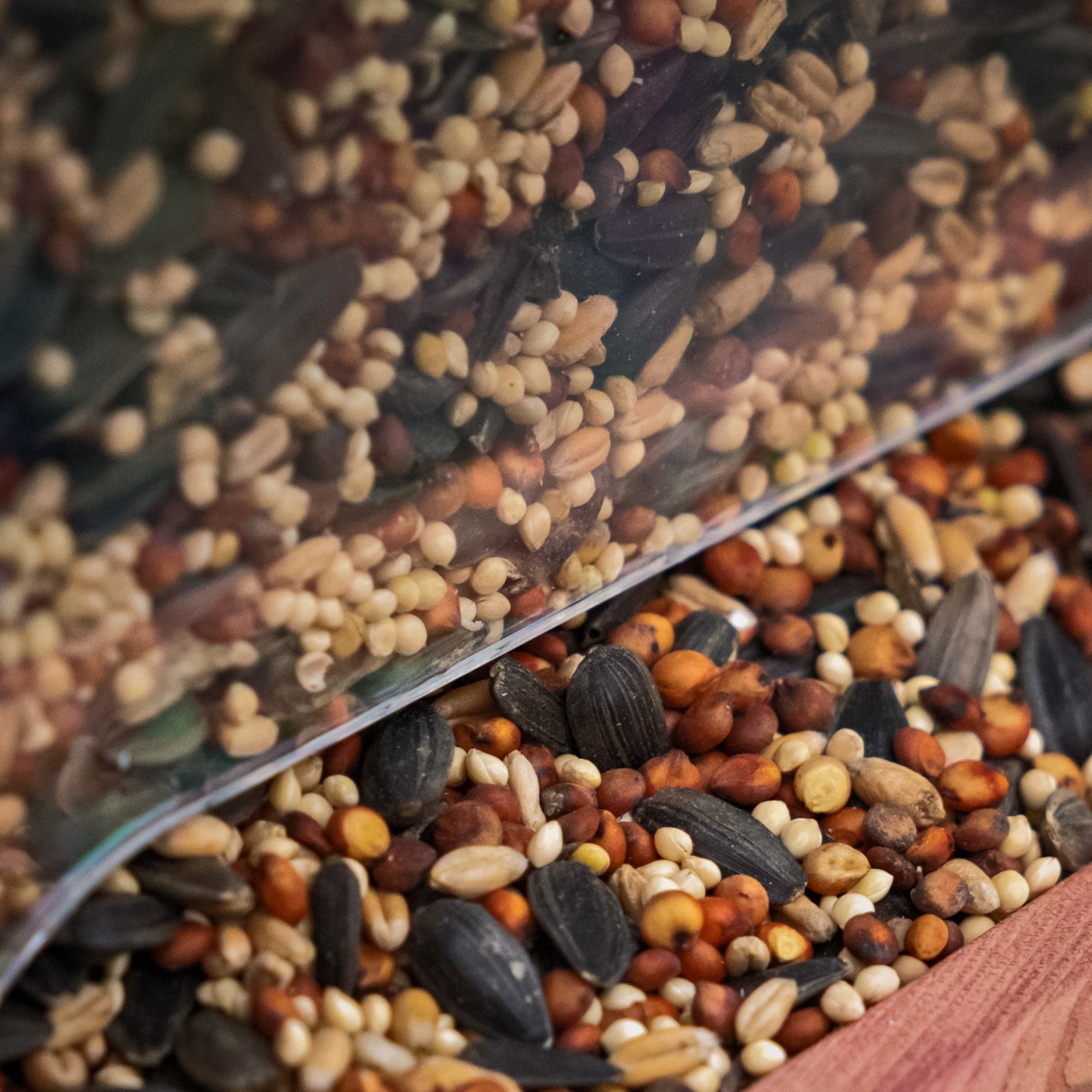 Pennington Classic Wild Bird Feed And Seed – 40 Lb Bag, Dry