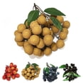 thumbnail image 2 of Artificial Fruit Lifelike Creative Decorative Fake Fruit Photography Prop, 2 of 7