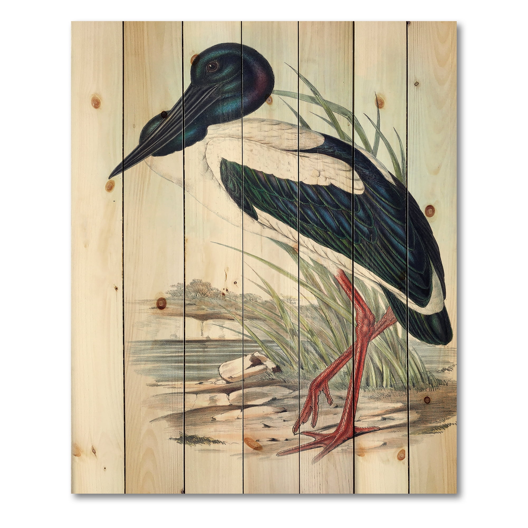 Designart 'Australian Vintage Birds I' Traditional Print on Natural Pine Wood
