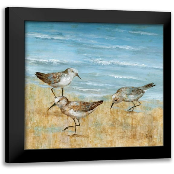 Nan 12x12 Black Modern Framed Museum Art Print Titled - Sandpipers II