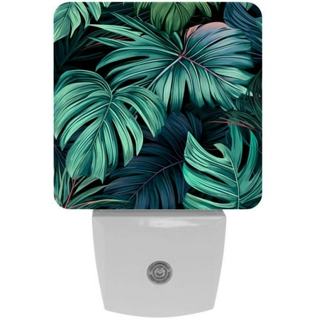 

Tropical jungle palm fronds LED Square Night Lights - Energy Efficient and Contemporary Design - for Bedrooms and Hallways - Includes Sensor with Auto on/Off - Easy Installation
