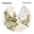 thumbnail image 2 of Lsque Chickens Print Christmas Tree Skirt, Tree Skirt with Ties or Velcro, Perfect for Holiday Decorations, Halloween, and New Year-48", 2 of 7
