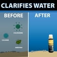 thumbnail image 4 of CrystalClear Vanish Plus Liquid Dechlorinator - 16 Ounces, 4 of 9
