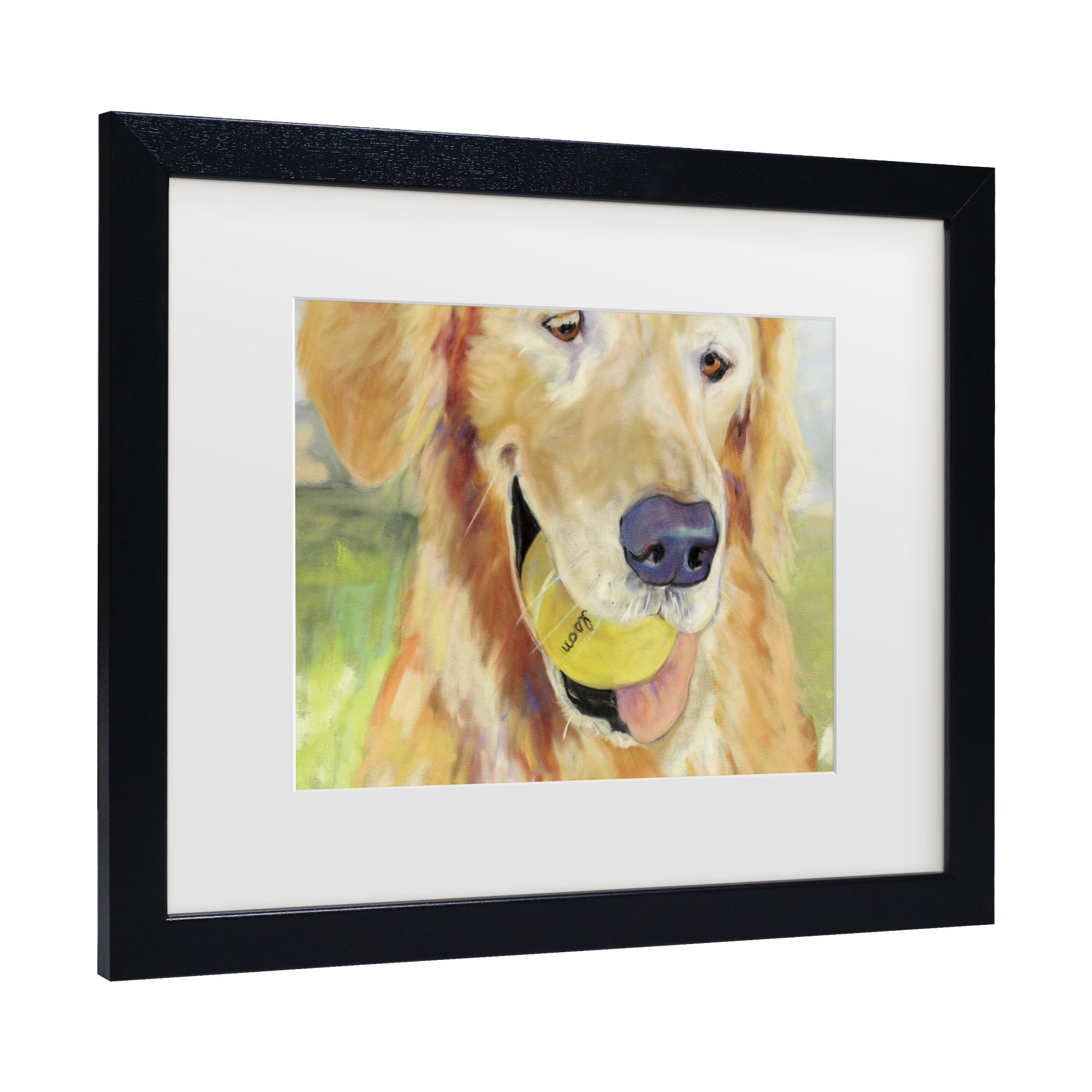 Trademark Fine Art 'Gus' Canvas Art by Pat Saunders-White