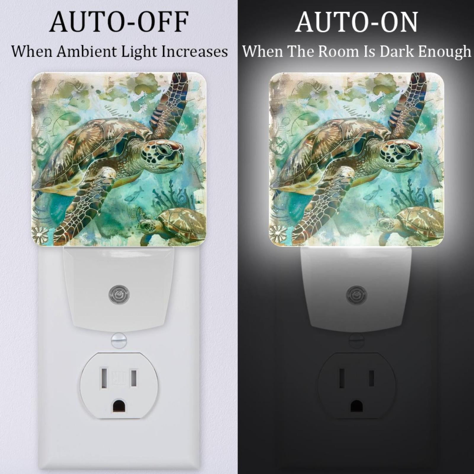 PhooArto Vintage Sea Turtle Painting Plug in LED Night Light Auto Sensor Dusk to Dawn Decorative Night for Bedroom, Bathroom, Kitchen, Hallway, Stairs, Baby's Room, Energy Saving