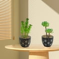 thumbnail image 3 of uds simulación de plantas suculentas en macetas, pequeños adornos creativos, plantas verdes artificiales, decoración interior, 3 of 5