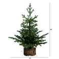 thumbnail image 2 of Nearly Natural 3ft. Pre-Lit Artificial Christmas Tree in Jute Wire Planter with 30 Warm White LED Lights, 2 of 10