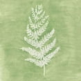 thumbnail image 2 of Lam, Vanna 12x12 White Modern Wood Framed Museum Art Print Titled - Forest Ferns II, 2 of 4