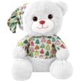 thumbnail image 1 of Oso de Peluche PELUCHERIA Winter Blanco 28 cm, 1 of 5