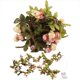 thumbnail image 3 of Guirnalda de luces LED ANGGREK de Hada de flores 25 m para decoración Del Hogar, 3 of 8