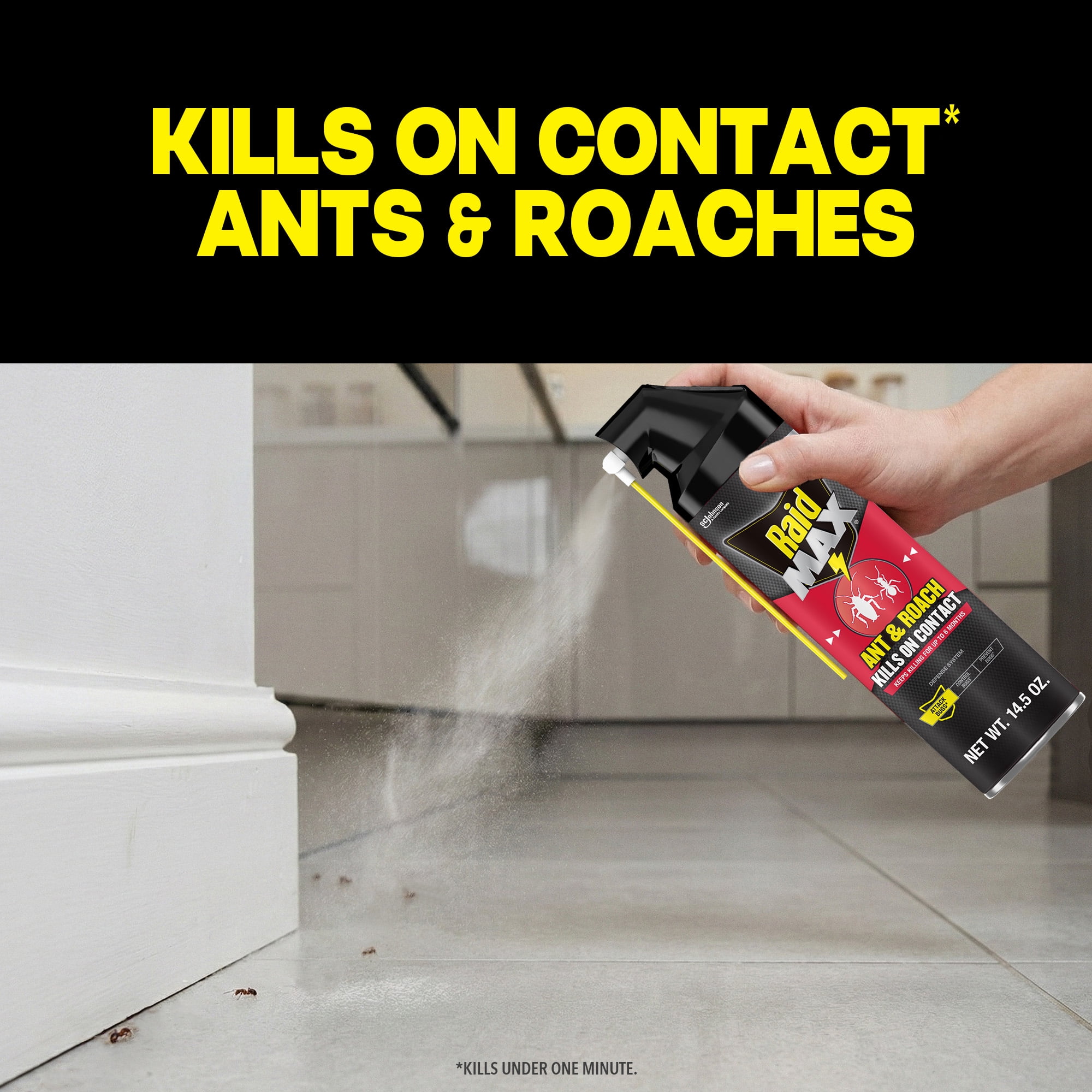 Raid MAX Indoor Ant and Roach Insecticide, 14.5 oz
