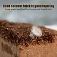Organic Compressed Coco Coir Brick Coconut Fiber Organic Soil Plant