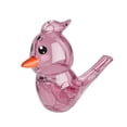 thumbnail image 2 of Pgyong Jouets Sifflet Transparent à Injection d'Eau, Sifflets en Forme de Fumée, Instruments de Musique pour Enfants avec Klaxon à Eau, 2 of 6