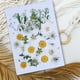 thumbnail image 2 of Artesanía de flores secas naturales Ramos en relieve Flores prensadas Decoraciones florales Decorativos para el hogar para tarjetas de boda Vela de resina Blanco Floral Speravity HA010758-06, 2 of 7