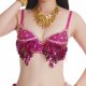 thumbnail image 1 of Top de sujetador con lentejuelas para danza del vientre, top brillante con purpurina para mujer, ideal para cabaret. rosa roja, 1 of 9