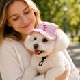 thumbnail image 4 of Pet Round Baseball Cap With Ear Holes, Adjustable Summer Sun Hat For Small Pets Outdoor Sun Protection, 4 of 9