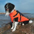thumbnail image 4 of High Quality Winter Jacket For Dog Red Dog Clothes With Harness Autumn Dog Coat Pet Clothing for Small Large Pet Supplies Dogs ShopWise Round, 4 of 10