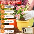 thumbnail image 2 of Legigo 8 Pack Premium Coco Coir Brick for Plants- 100% Organic Compressed Coconut Coir Bricks Starting Mix, Coco Coir Fiber Coconut Husk for Planting, Gardening, Potting Soil Substrate, Herbs, 2 of 7