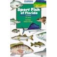 thumbnail image 1 of Pre-Owned Sport Fish of Florida (Paperback) by Vic Dunaway, Florida Sportsman, 1 of 1