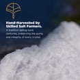 thumbnail image 6 of Colima Sea Salt 8oz., 6 of 8