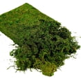 thumbnail image 3 of Musgo artificial USMOLA Fake Moss, 455 g, para manualidades y decoración, 3 of 6