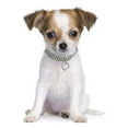 thumbnail image 3 of Mobutofu 1Set Chain for Dog with Decorative Heart Pendant in White Cloth, 3 of 8