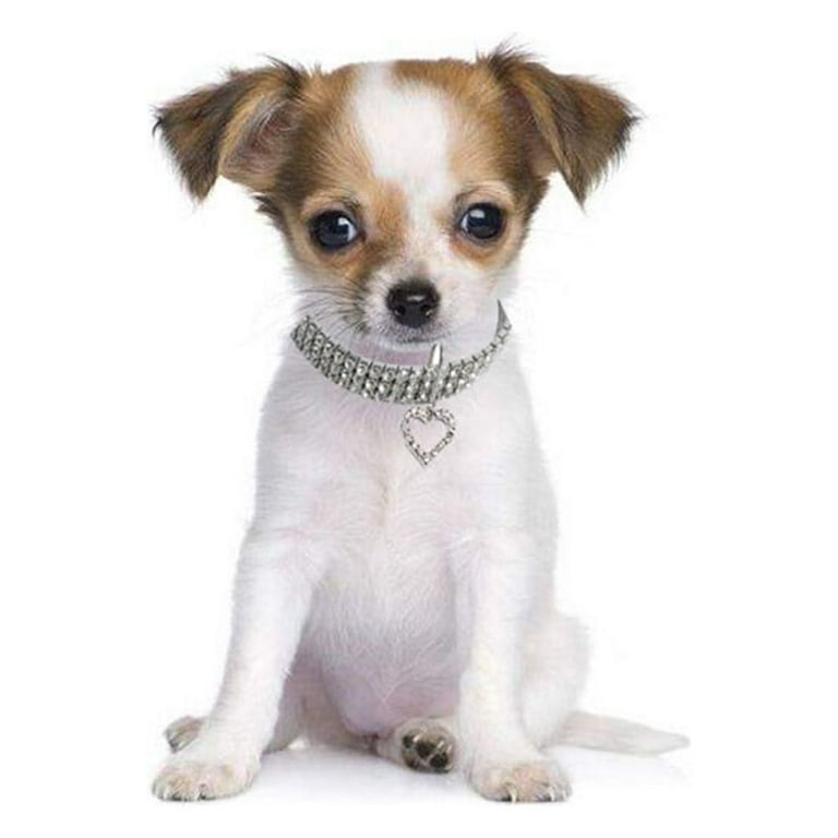 NOLITOY 3-Pack Crystal Pet Collar Necklace With Heart – Adjustable Sparkle Collar For Small Dogs & Cats