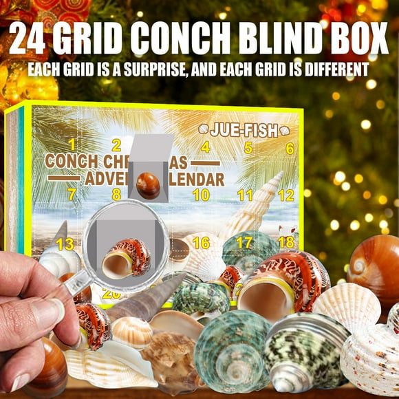 Xihbxyly Caja de Almacenamiento de Caracolas, 24 Regalos de Piedra, Juego de Juguetes Educativos Stem, Calendario de Adviento Unisex, Divertidas Sorpresas Diarias, Perfecto para Navidad, Tamaño 21 X