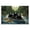 Woodland Canoeing Bears, variant on Stupell Industries Farmhouse Bears Canoeing on Lake Black Floating Frame Canvas Art, 21 x 17, by Jim Baldwin