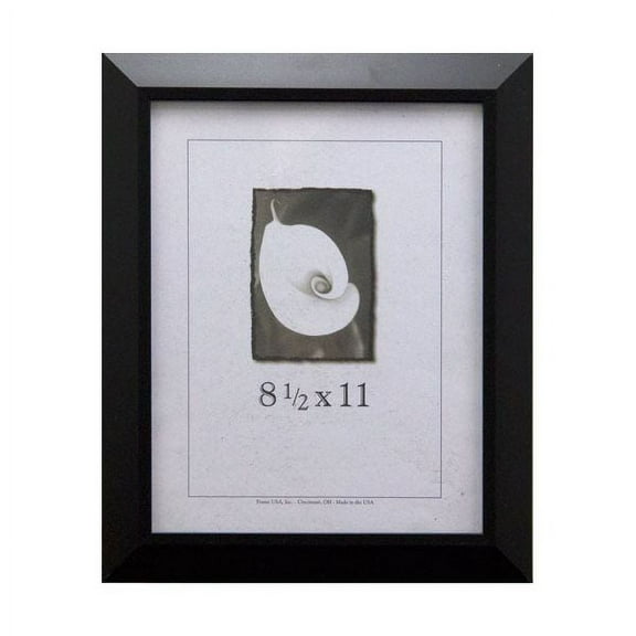 Frame USA Budget Saver Picture Frame 10.5W 2.625H